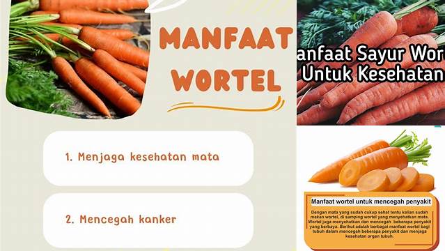 Menyingkap 9 Manfaat Sayur Wortel yang Jarang Diketahui