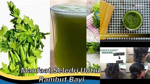 Manfaat Seledri untuk Rambut Bayi yang Harus Diketahui