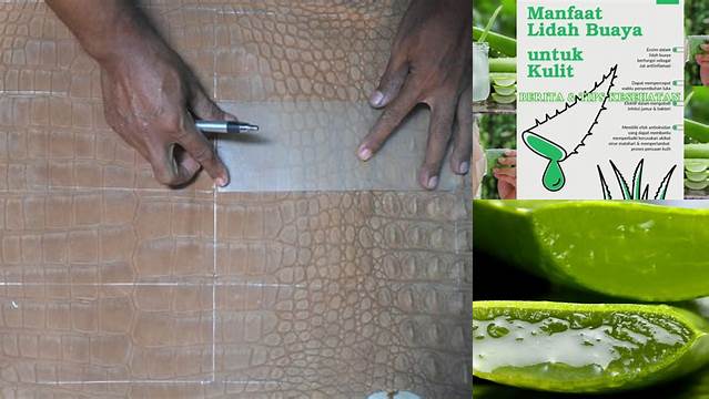 Temukan Manfaat Serat Kulit Buaya yang Jarang Diketahui