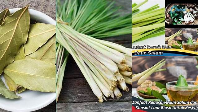 Temukan 8 Manfaat Sereh dan Daun Salam yang Jarang Diketahui