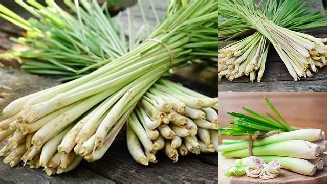 Temukan 7 Manfaat Sereh Lemon yang Jarang Diketahui, Bikin Anda Tercengang!