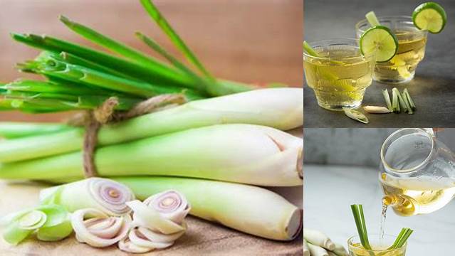 Temukan Manfaat Sereh untuk Kulit yang Jarang Diketahui