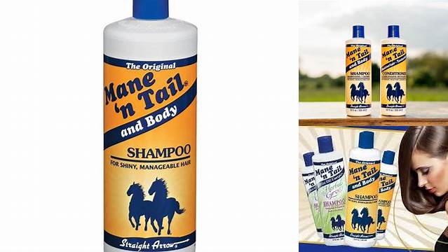 Temukan Manfaat Shampo Kuda yang Jarang Diketahui
