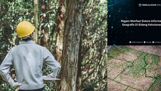 Temukan Manfaat SIG dalam Bidang Kehutanan yang Jarang Diketahui