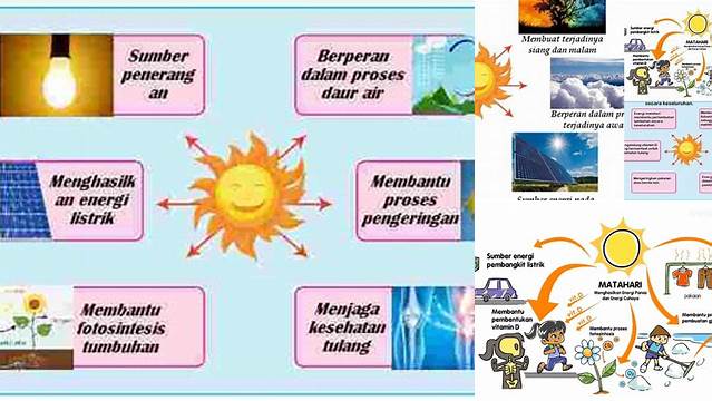 Manfaat Sinar Matahari Bagi Tumbuhan yang Tak Terduga