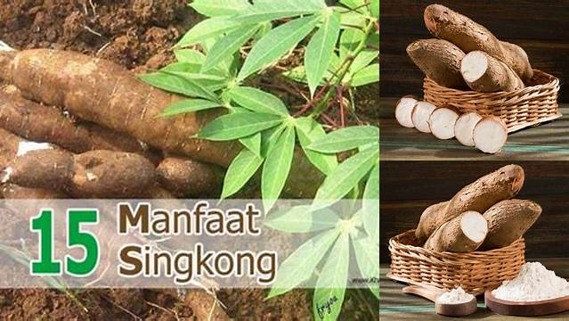 Temukan Rahasia Singkong yang Jarang Diketahui untuk Tubuh yang Sehat