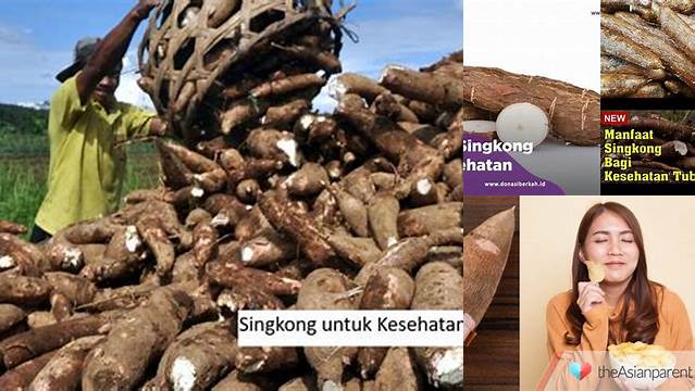 Temukan Rahasia Manfaat Singkong yang Jarang Diketahui