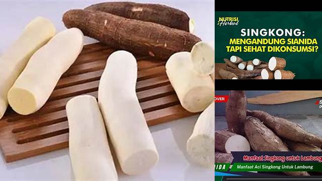 Manfaat Singkong Mentah untuk Lambung yang Baru Anda Ketahui