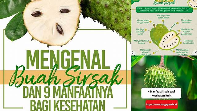 Temukan 8 Manfaat Sirsak untuk Kesehatan yang Jarang Diketahui!