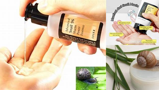 Manfaat Snail Mucin yang Jarang Diketahui, Wajib Tahu!