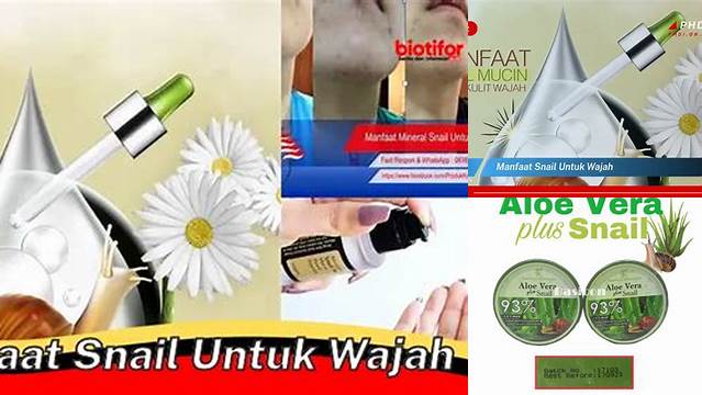 Temukan Manfaat Siput untuk Wajah yang Jarang Diketahui