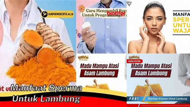 Temukan Manfaat Sperma untuk Lambung yang Perlu Anda Ketahui