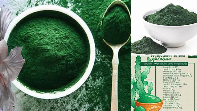 Manfaat Luar Biasa Spirulina untuk Ikan yang Jarang Diketahui