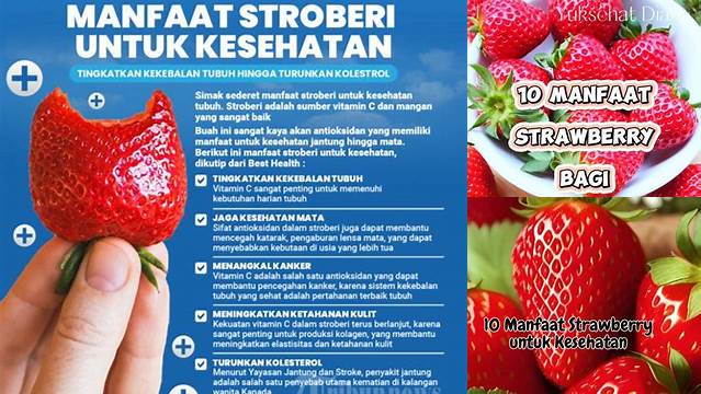 Terungkap Manfaat Stroberi untuk Kesehatan yang Perlu Anda Ketahui
