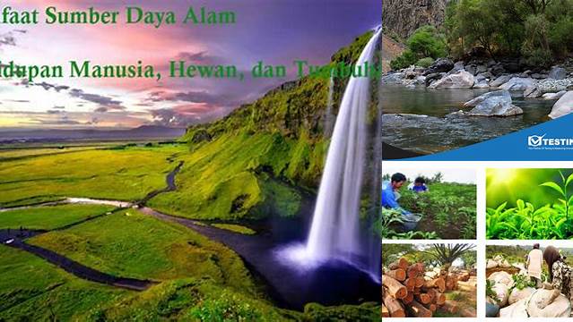 Temukan Manfaat Tersembunyi Sumber Daya Alam Air yang Jarang Diketahui