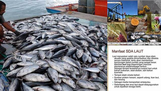 5 Manfaat Sumber Daya Alam Laut yang Jarang Diketahui