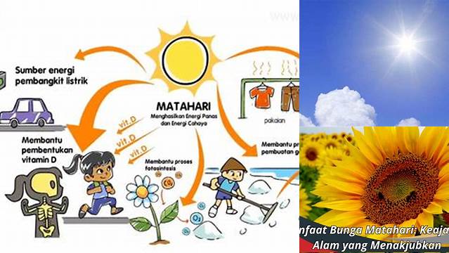 Temukan Manfaat Sumber Daya Alam Matahari yang Jarang Diketahui, Perlu Anda Tahu!