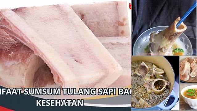 Temukan Manfaat Sumsum Tulang Sapi yang Jarang Diketahui