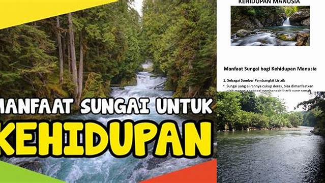 Ungkap 5 Manfaat Sungai yang Jarang Diketahui