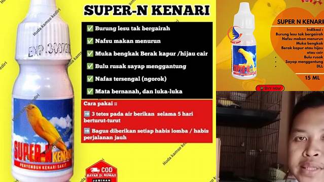 Manfaat Super N Kenari yang Jarang Diketahui