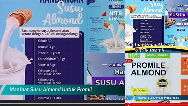 Manfaat Susu Almond untuk Promil yang Jarang Diketahui