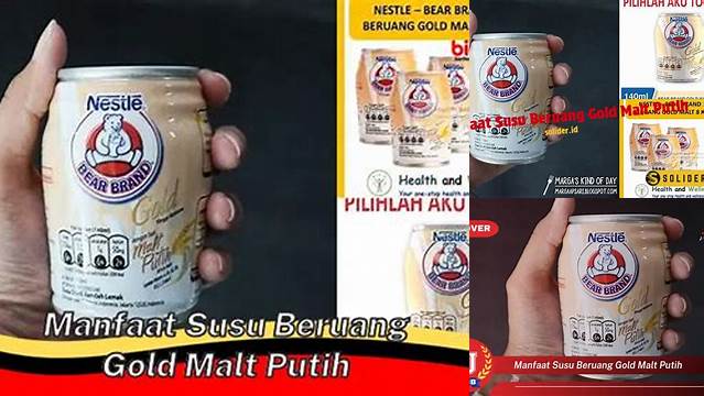 Manfaat Susu Beruang Gold Malt Putih Perlu Kamu Tahu