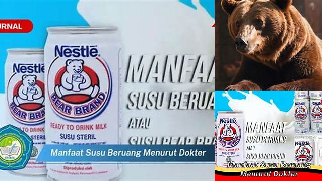 Temukan Manfaat Susu Beruang yang Jarang Diketahui Menurut Dokter