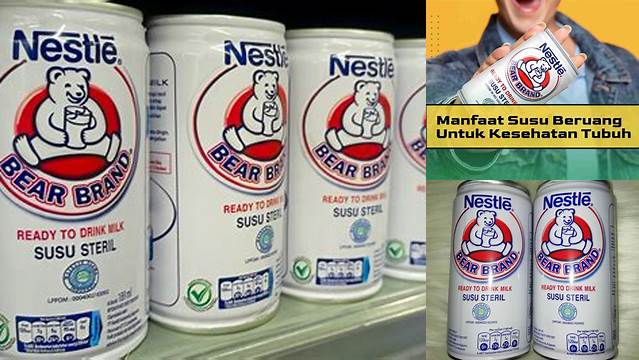 Temukan Manfaat Susu Beruang untuk Pusing yang Jarang Diketahui