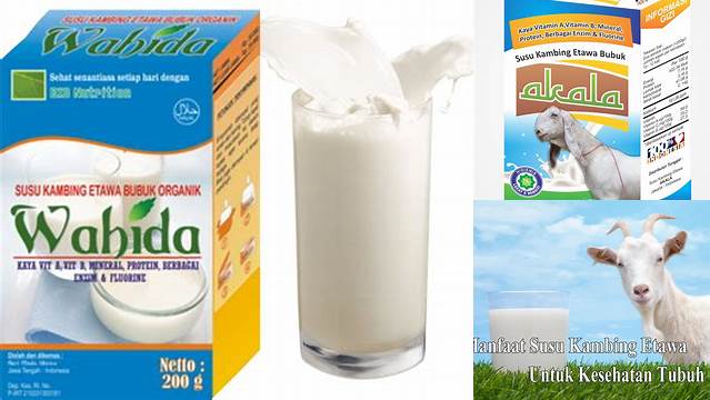 6 Manfaat Susu Kambing untuk Kulit yang Perlu Anda Ketahui