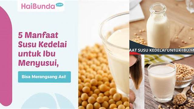 10 Manfaat Susu Kedelai untuk Ibu Menyusui yang Jarang Diketahui