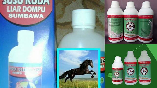 9 Manfaat Susu Kuda Liar Tak Terduga bagi Kesehatan