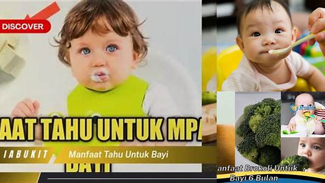 Temukan Manfaat Tahu untuk Bayi, Penemuan dan Wawasan yang Jarang Diketahui