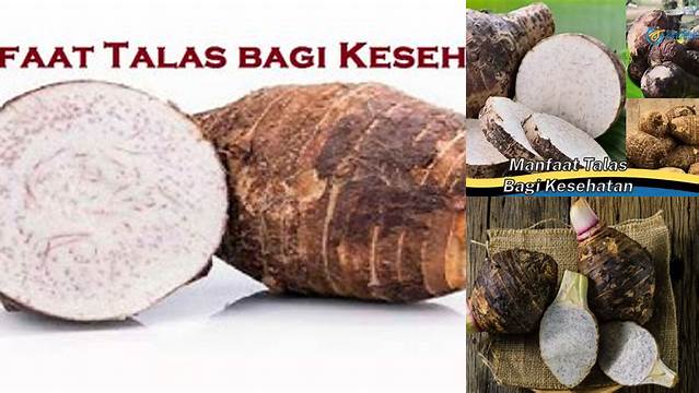 Temukan Manfaat Talas untuk Kesehatan yang Jarang Diketahui