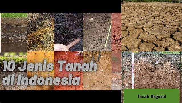 Temukan Manfaat Tanah Grumusol yang Luar Biasa, Jarang Diketahui