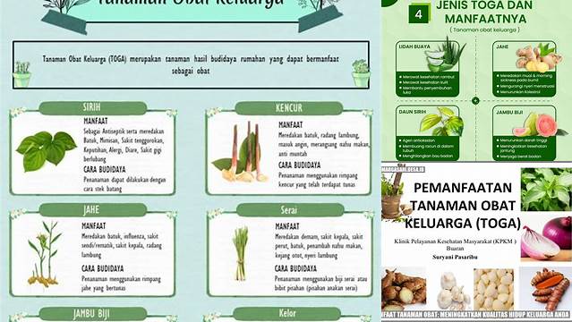 Temukan Khasiat Tanaman Obat yang Perlu Anda Ketahui