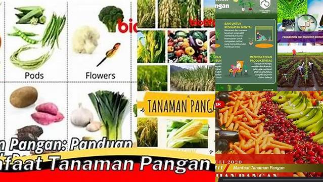 10 Manfaat Manfaat Tanaman Pangan Untuk Kesehatan Optimal