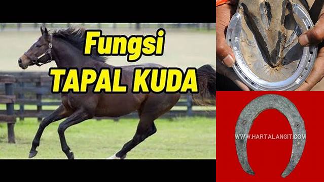 Temukan Manfaat Tapal Kuda yang Belum Banyak Diketahui!