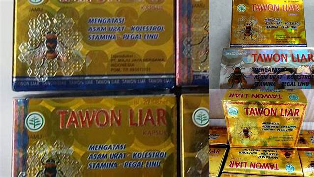 Temukan Manfaat Tawon Liar Yang Jarang Diketahui