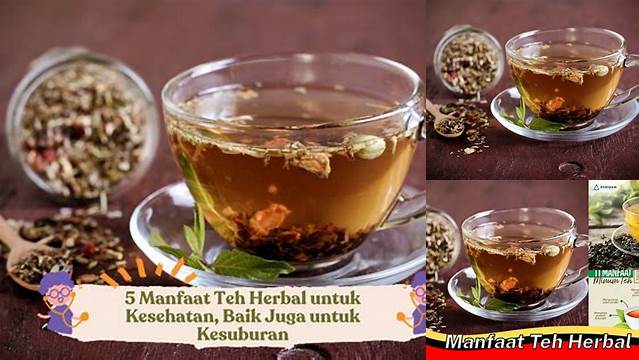10 Manfaat manfaat teh herbal untuk kesehatan tubuh alami