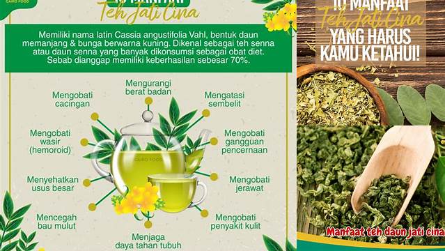 Manfaat Teh Jati Cina yang Perlu Anda Tahu dan Jarang Diketahui