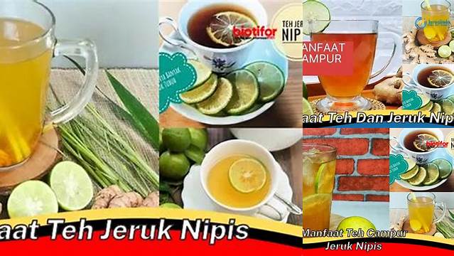 Manfaat Teh Jeruk Nipis: Penemuan dan Wawasan yang Perlu Anda Tahu