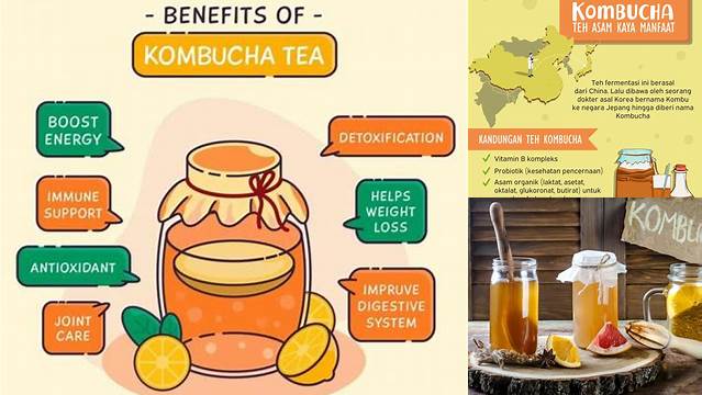 Manfaat Teh Kombucha yang Anda Wajib Tahu!