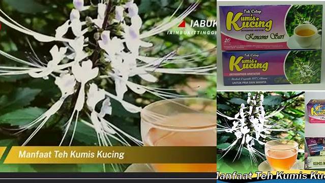 10 Manfaat manfaat teh kumis kucing Rahasia Sehat Alami
