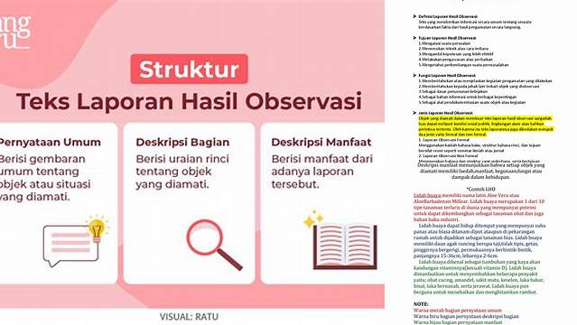 Ungkap Manfaat Teks Laporan Hasil Observasi yang Jarang Diketahui