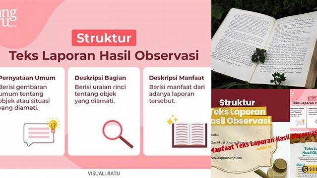 Temukan Manfaat Teks Observasi yang Jarang Diketahui