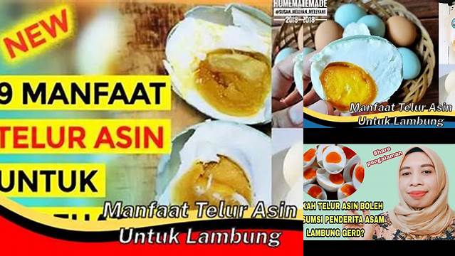 Temukan Manfaat Telur Asin untuk Lambung yang Jarang Diketahui