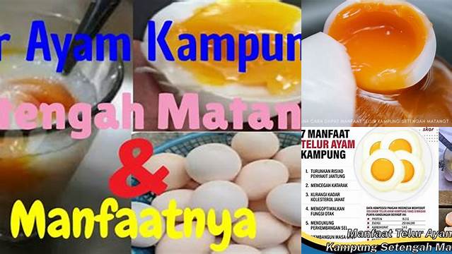 Temukan khasiat telur ayam kampung setengah matang yang jarang diketahui