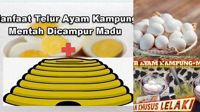 Temukan Manfaat Telur Kampung Dicampur Madu yang Jarang Diketahui