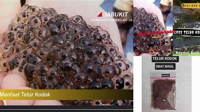 10 Manfaat manfaat telur kodok untuk bisul Redakan Bisul? Ini Faktanya!