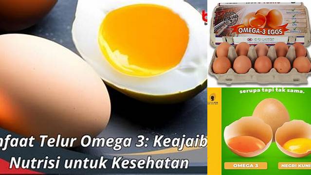 Temukan Manfaat Telur Omega 3 yang Jarang Diketahui